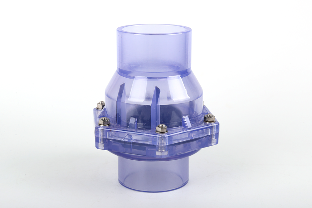 博厚镇透明翻板式止回阀